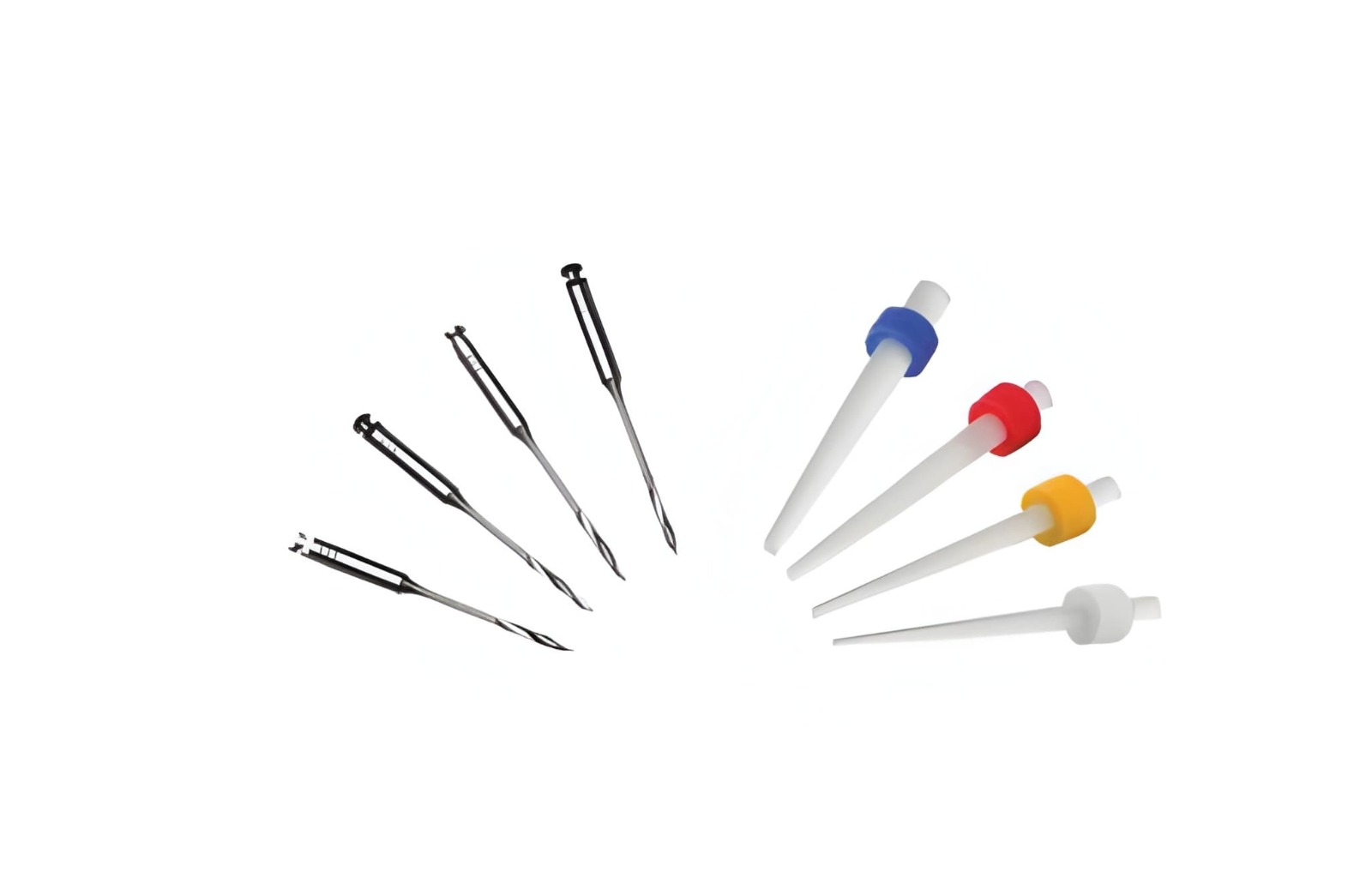 Moriz Fiber Post