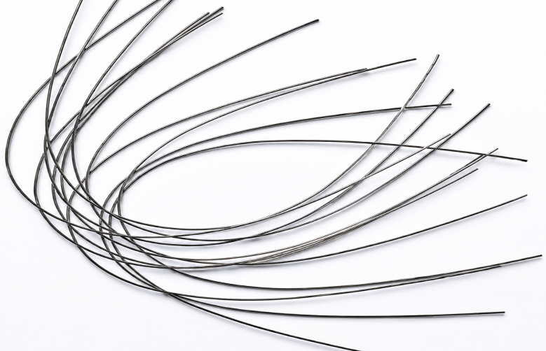 Moriz Archwires