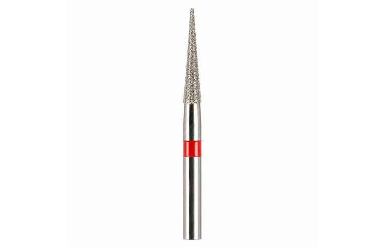 Strauss IPR Burs