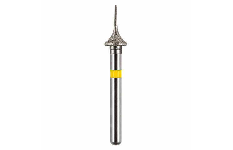 Strauss IPR Burs